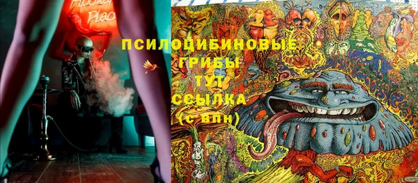 спиды Алексин