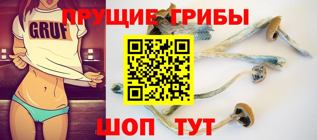 Псилоцибиновые грибы мицелий Новочеркасск